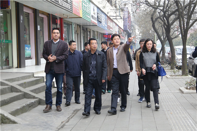 肖志坚一行实地察看塔桥路路况、道路交通、沿街店面、绿化环卫等情况.jpg