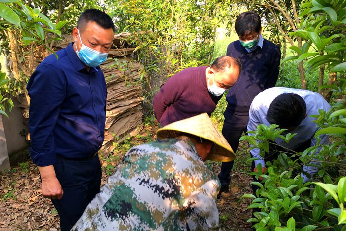 市人大副主任杨顺好调研指导青山村精准扶贫工作 (1).jpg