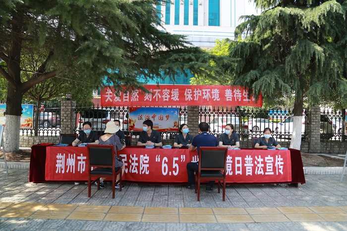 荆州中院 环境日3.JPG